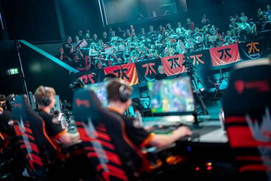 回一只小鸟 回一只小鸟